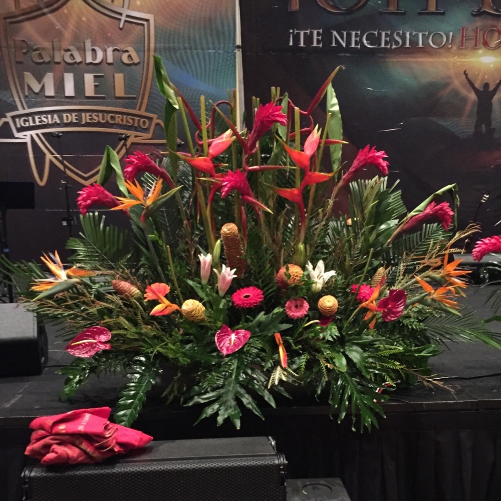 Meet your Posher, Ofelia